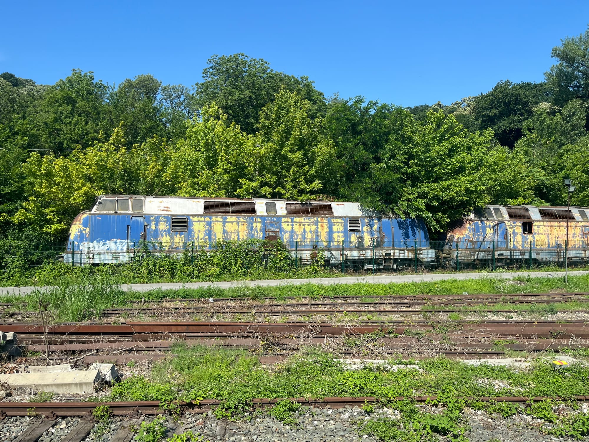 Old blue diesel locomotives, rusting and part covered by bushes