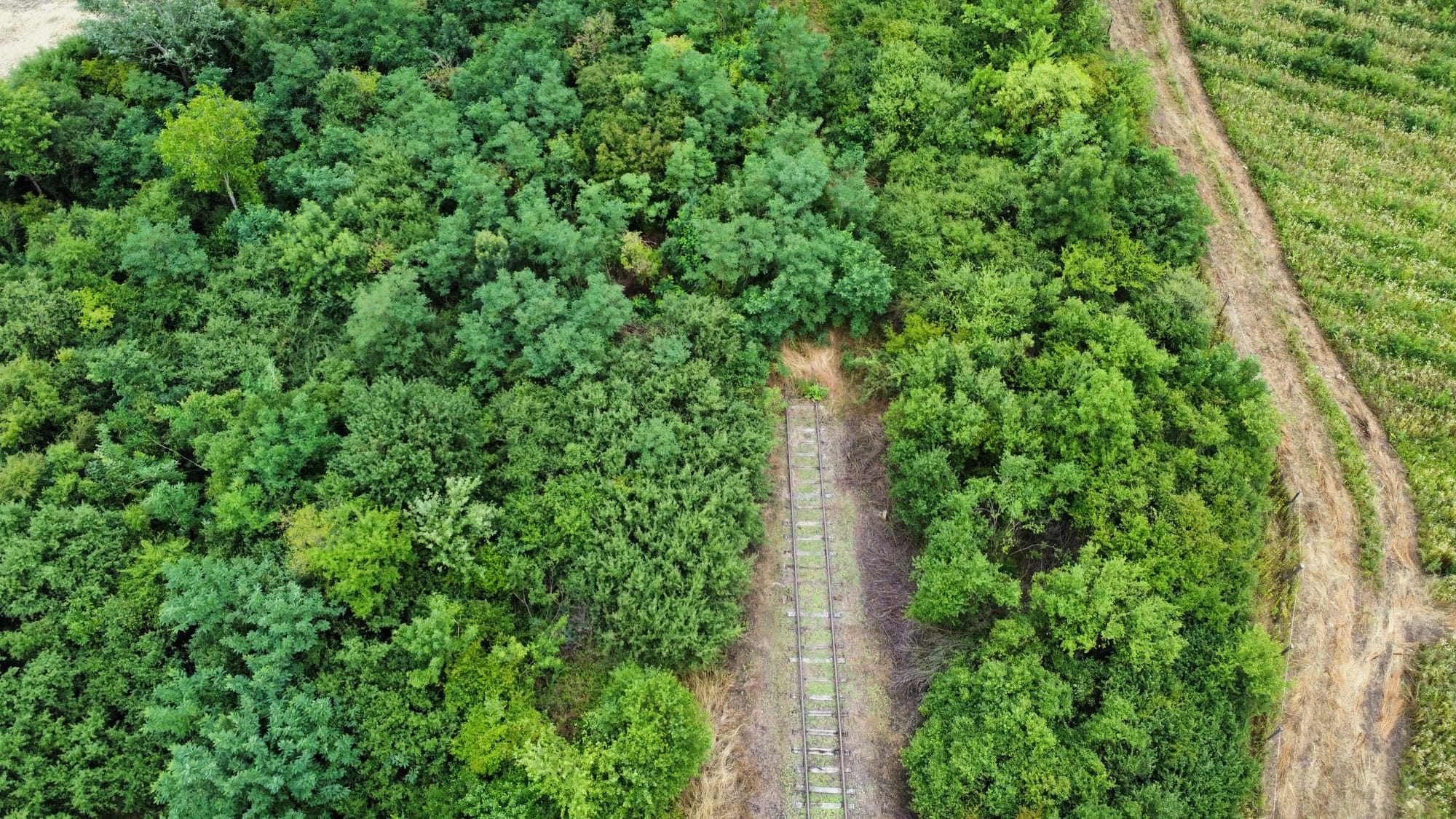 An old rail track ends in a deep green lot of bushes. It is a drone picture.