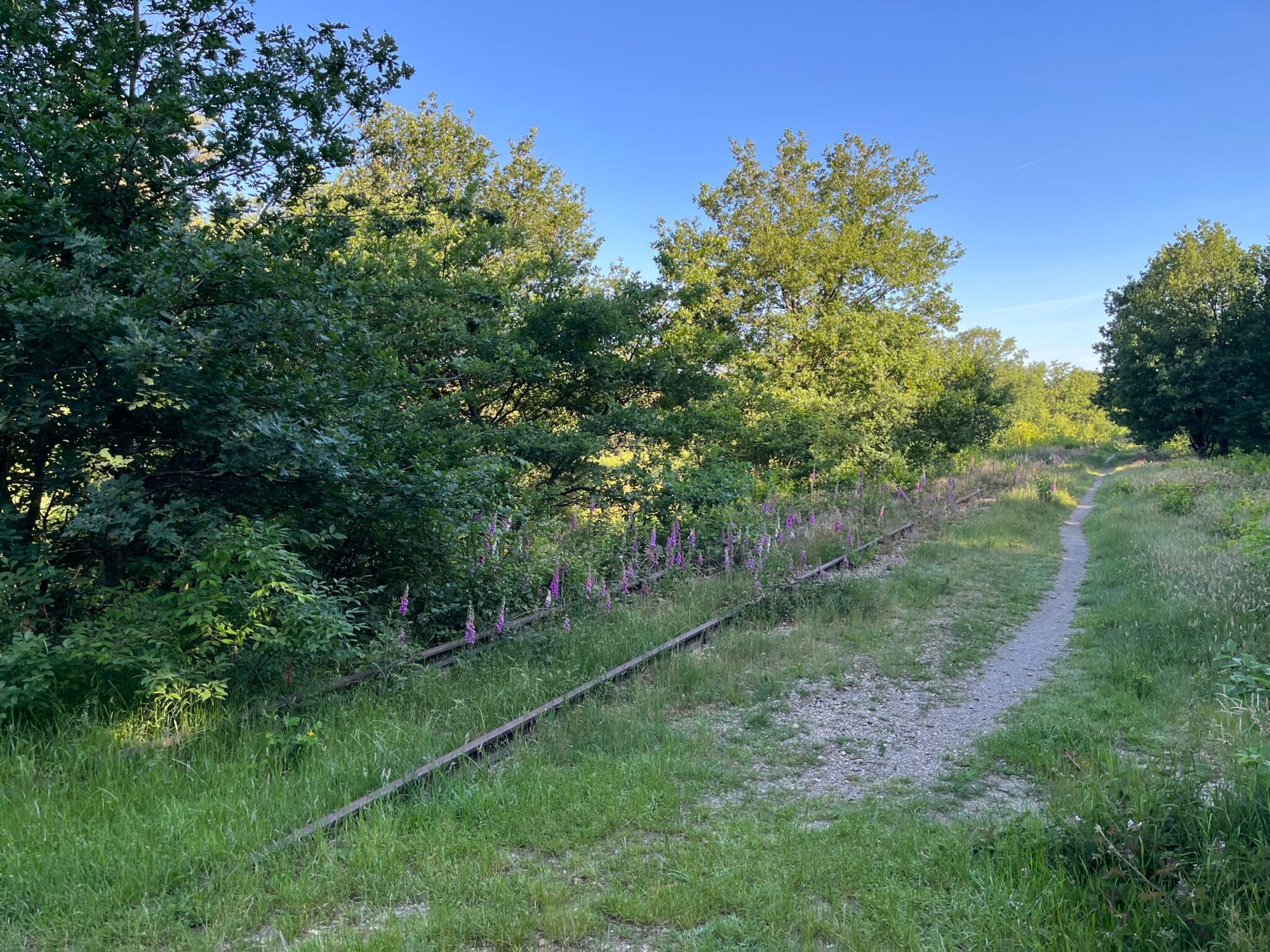 #CrossBorderRail: what am I trying to find? And what's the goal?