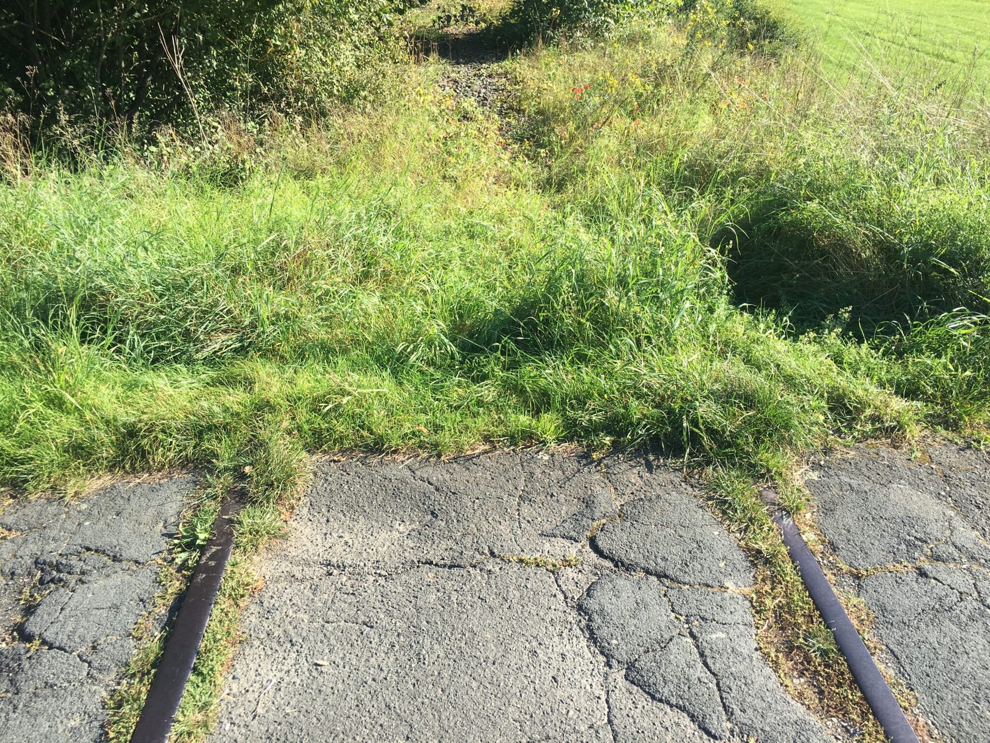 We know what's wrong with European railways. Mostly. But how do we fix it?