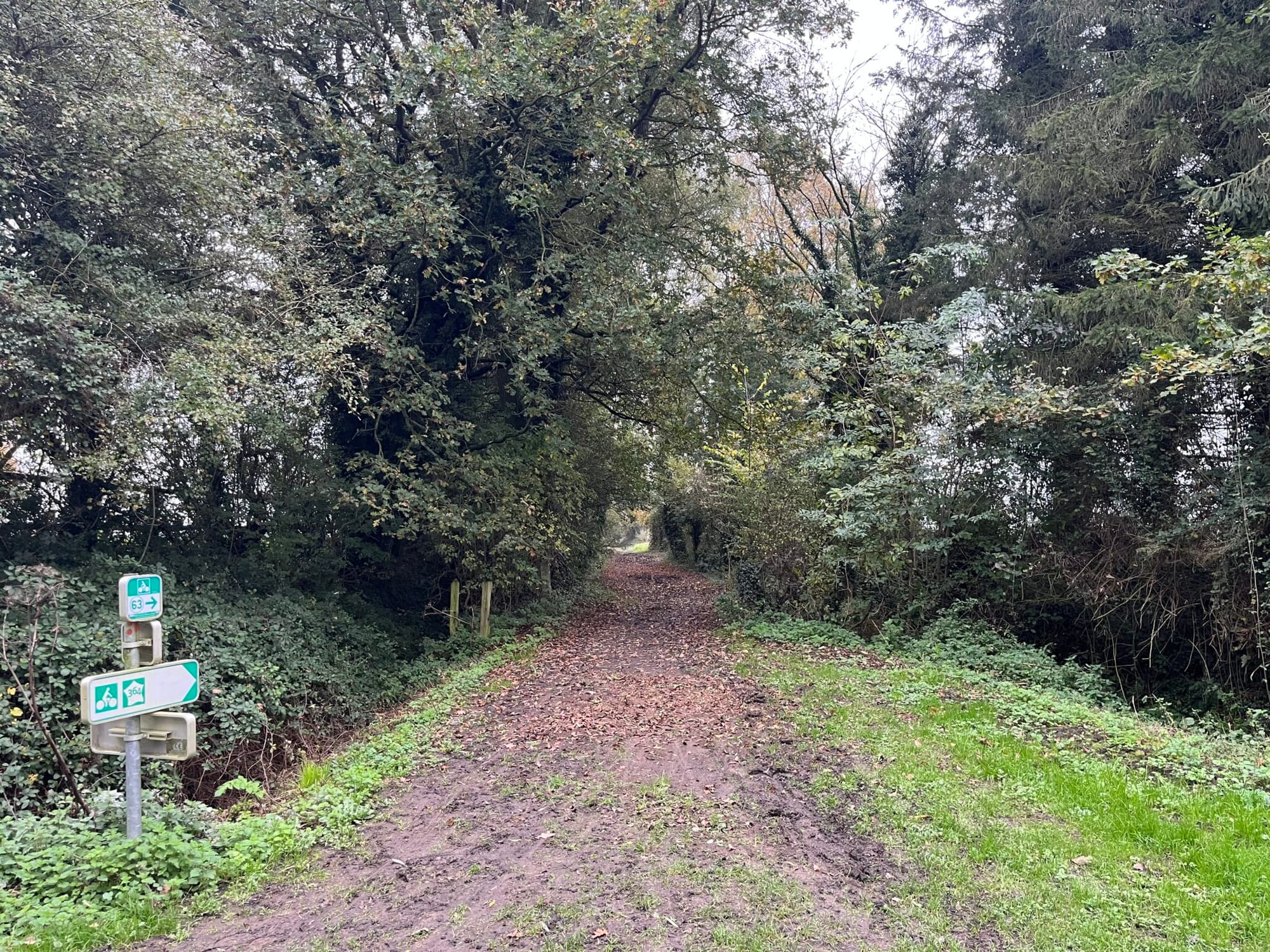 Komoot: you saved me on Lithuanian dirt lanes, and through the streets of Roma. But it's time for something new