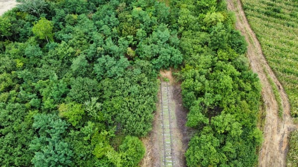 An old rail track ends in a deep green lot of bushes. It is a drone picture.