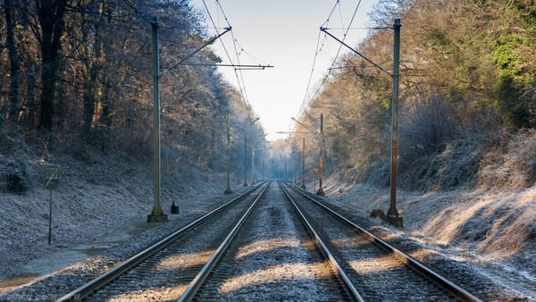 If you reduced track access charges in European passenger rail, very little would happen - at least short term