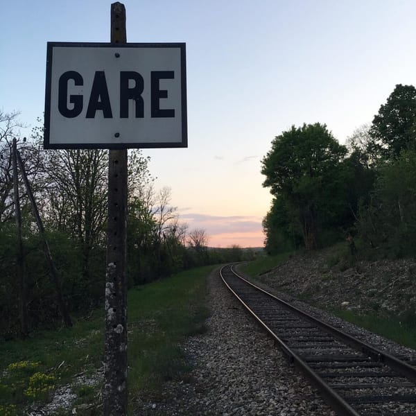 France and Germany: united in what exactly when it comes to public transport?