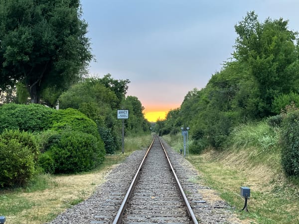 ÉcoTrain: €3 million to answer the wrong question