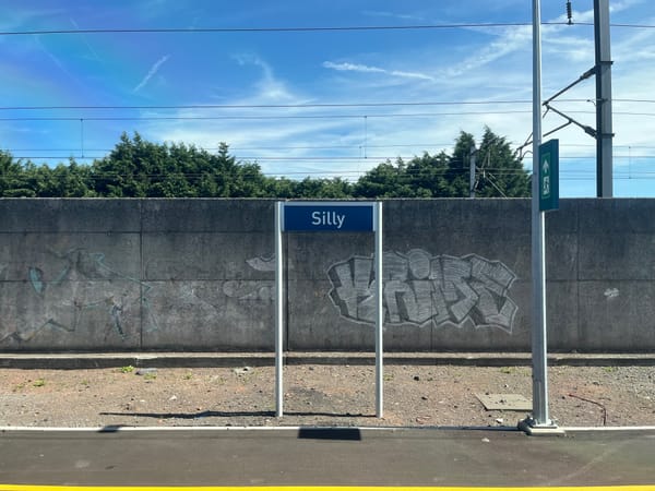 Oh deer. An animal strike makes my trip rather Silly